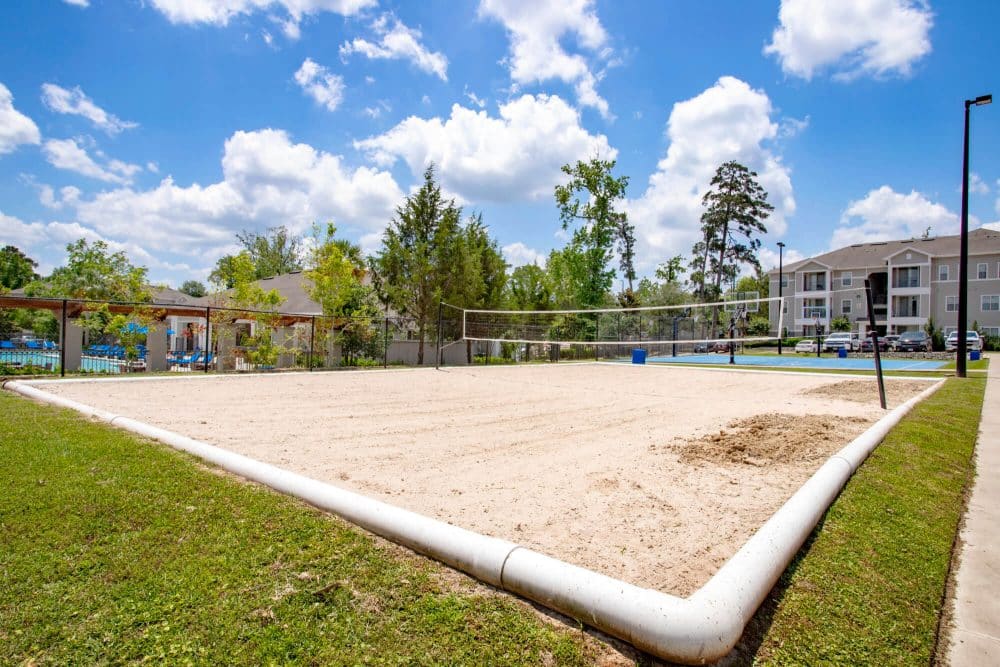 the forum at sam houston off campus apartments near sam houston state university shsu sand volleyball court